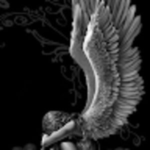 Meet your Posher, Lorena